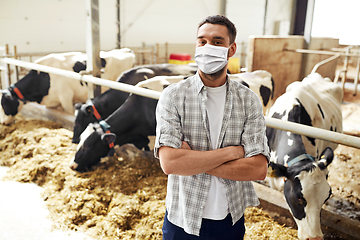 Image showing male farmer in mask with cows on dairy farm