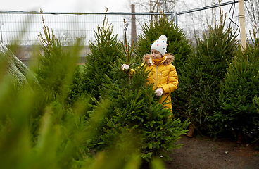 Image showing little girl choosing christmas tree at market