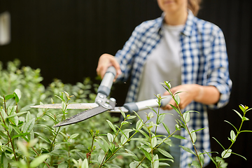 Image showing woman with pruner cutting branches at garden