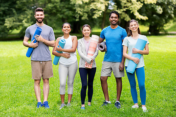 Image showing group of happy people with yoga mats at park