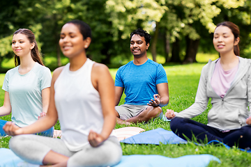 Image showing group of people doing yoga at summer park