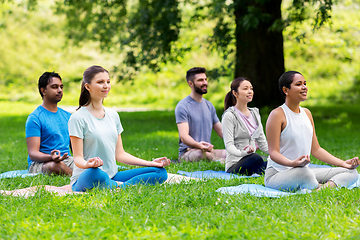 Image showing group of happy people doing yoga at summer park