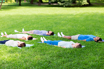 Image showing group of people doing yoga at summer park