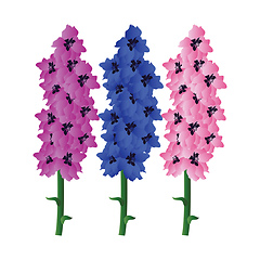 Image showing Vector illustration of violet blue and pink delphinium  flowers 