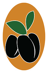 Image showing Black olives, vector or color illustration.