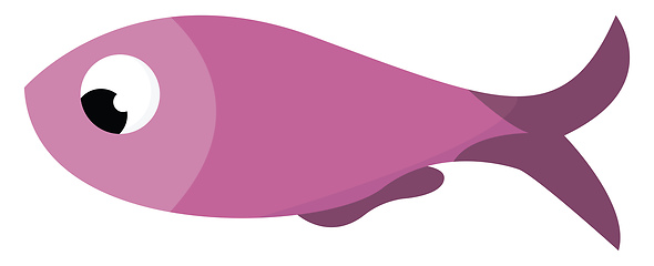 Image showing A purple fish vector or color illustration