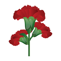 Image showing Vector illustration of red carnation  flowers  on white backgrou