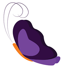 Image showing A beautiful purple butterfly vector or color illustration