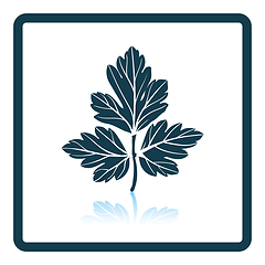 Image showing Parsley icon