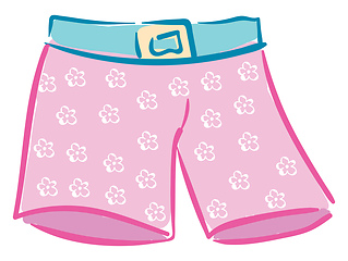 Image showing Floral shorts vector or color illustration