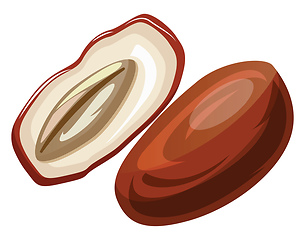 Image showing Brown and white raw date  cut in half cartoon fruit vector illus