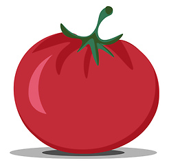 Image showing Clipart of the red tomato/Solanum lycopersicum, vector or color 