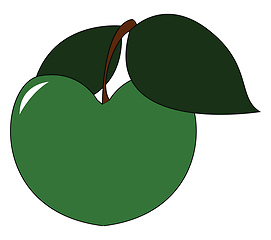 Image showing A fresh green apple with leaf vector or color illustration