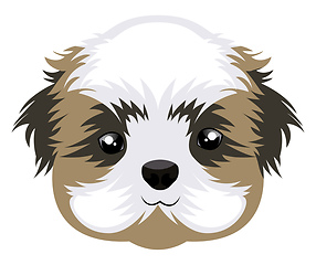 Image showing Shih Tzu illustration vector on white background