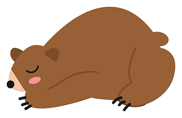 Image showing A brown bear sleeping vector or color illustration