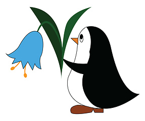 Image showing Black and white penguine holding a blue flower vector illustrati