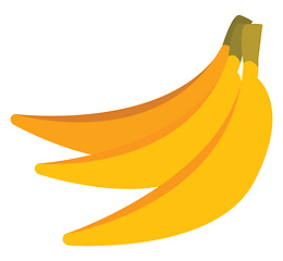 Image showing Bananas vector or color illustration