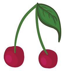 Image showing A pair of red cherries vector or color illustration