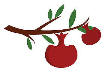Image showing Two red apples on a brown tree branch with green leaves vector i