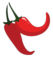 Image showing Two red chilis with green petiols vector illustration on white b