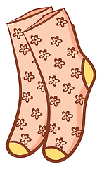 Image showing Floral socks vector or color illustration