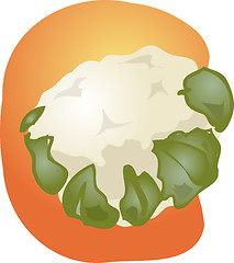 Image showing Cauliflower illustration
