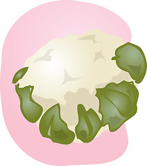 Image showing Cauliflower illustration