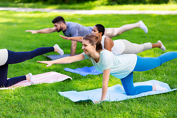 Image showing group of people doing yoga at summer park