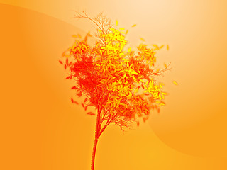 Image showing Autumn tree