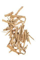 Image showing Stellaria Root Chinese Herb