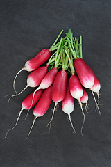 Image showing Radish Vegetables for Immune System Boost