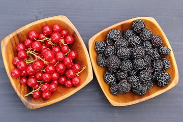 Image showing Berries.