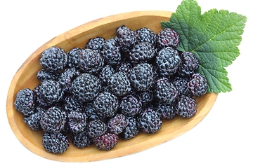 Image showing Black  raspberries.