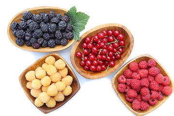 Image showing Different types of berries.