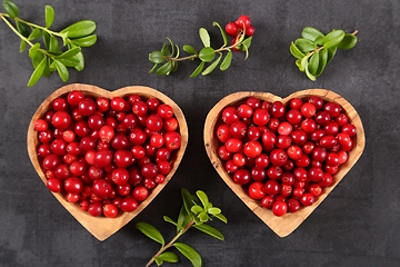 Image showing Cowberries.