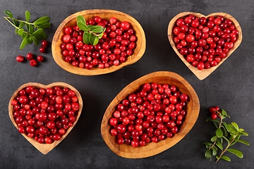 Image showing Cowberries.