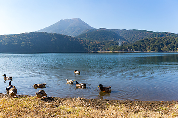 Image showing Mount Kirishima with lake and duck