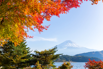 Image showing Mt.Fuji in autumn at Lake kawaguchiko in japan