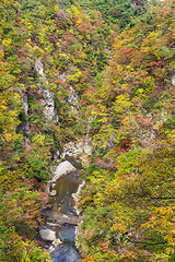 Image showing Naruko Gorge Valley with colorful foliage