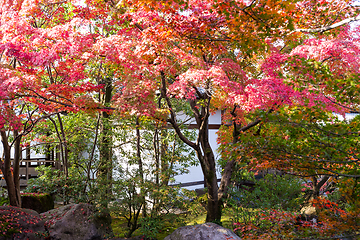 Image showing Kokoen Garden in Autumn