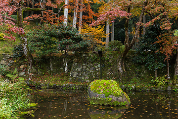 Image showing Park in autuman season