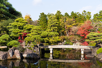 Image showing Japanese garden in autumn