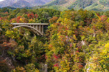 Image showing Bridge passing though Naruko Gorge in autumn