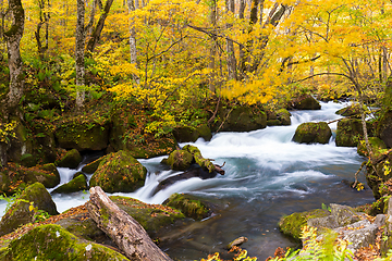 Image showing Oirase Mountain Stream