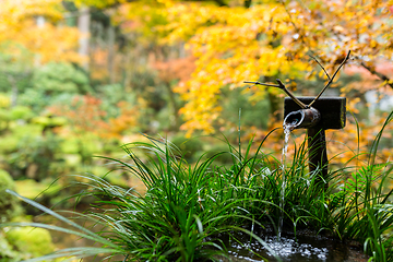 Image showing Water bamboo fountain in japanese temple