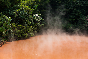 Image showing Blood pond hell in Japan