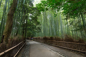 Image showing Bamboo Forest in Kyoto