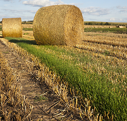 Image showing twisted straw