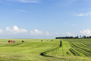 Image showing meadow for mowing grass