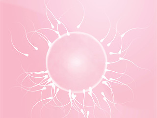 Image showing Human egg cell fertilization